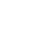 Leads Icon