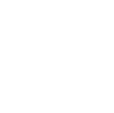 Dollar Icon